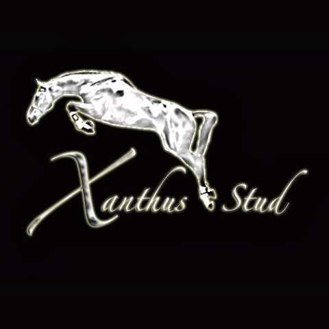 Xanthus Stud Equestrian Centre
